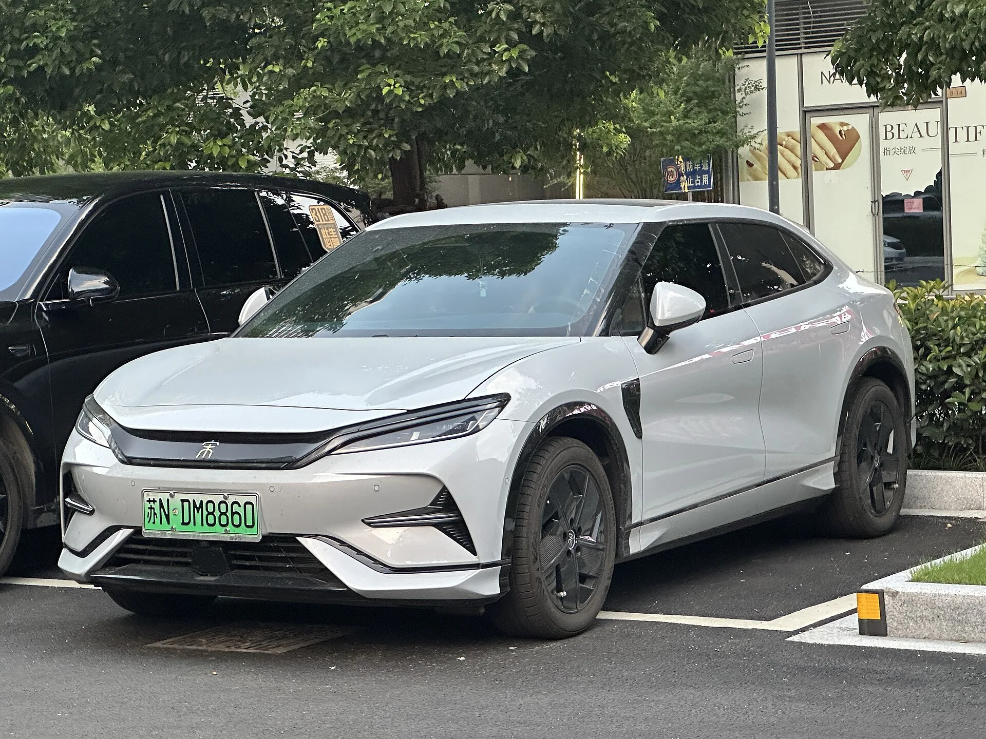 BYD Song L EV